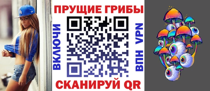 купить  цена  Ставрополь  Галлюциногенные грибы мухоморы 