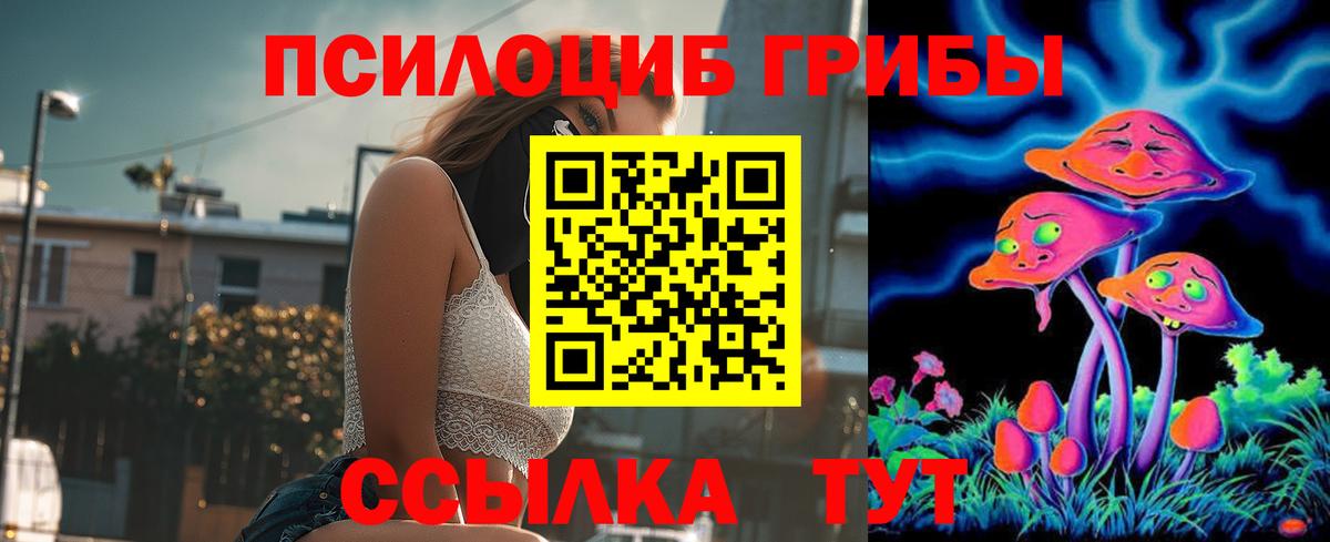 Ставрополь  Псилоцибиновые грибы GOLDEN TEACHER  Галлюциногенные грибы Psilocybe  Вход с VPN 