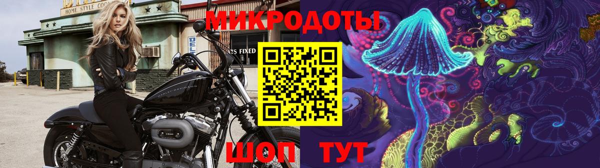 Галлюциногенные грибы мухоморы Ставрополь