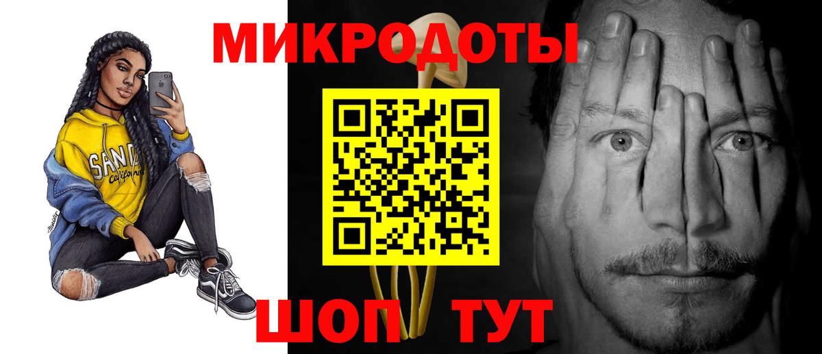 Псилоцибиновые грибы Psilocybine cubensis  Ставрополь 